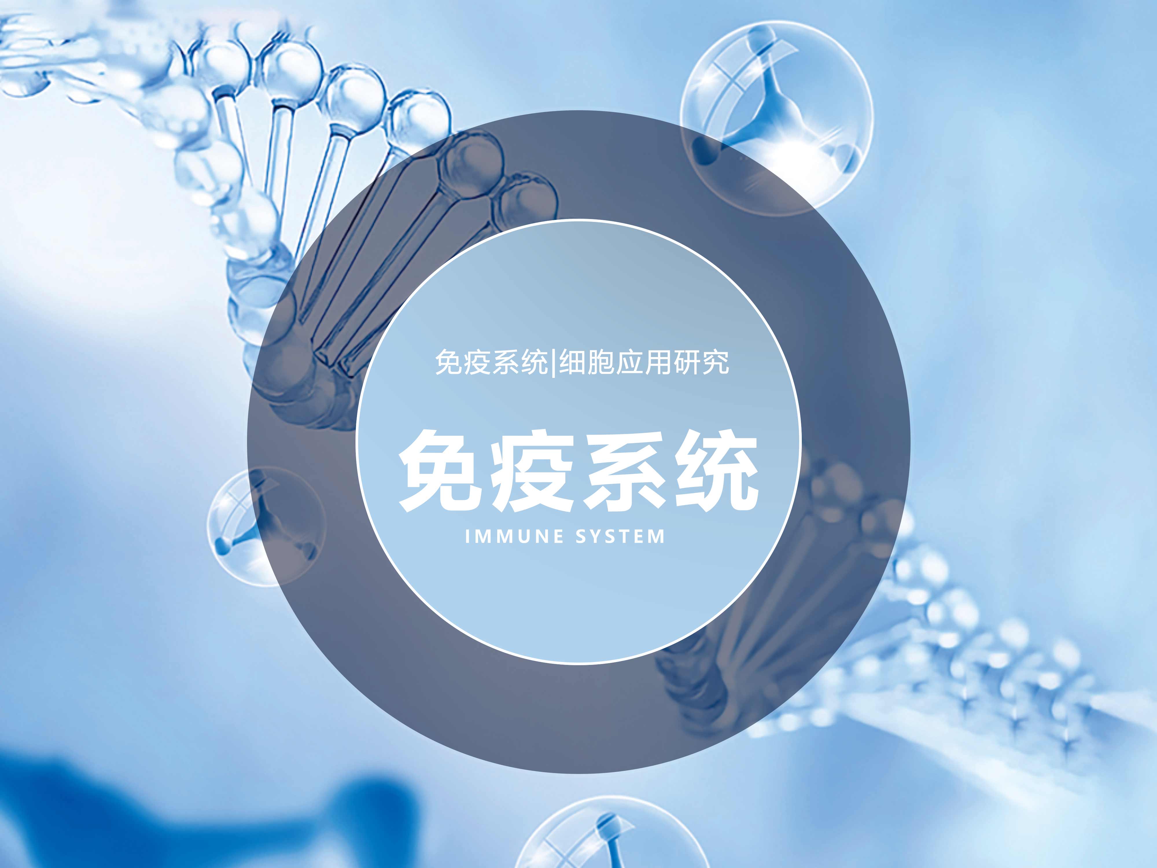 免疫系統|細胞應用研究